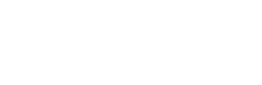 5dc66a54d6571e39a9baeed9_Visa-logo-white